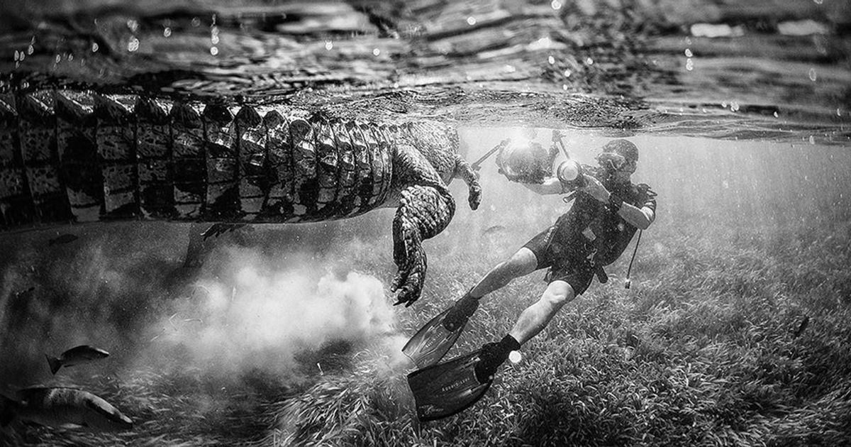 fotografia de naturaleza